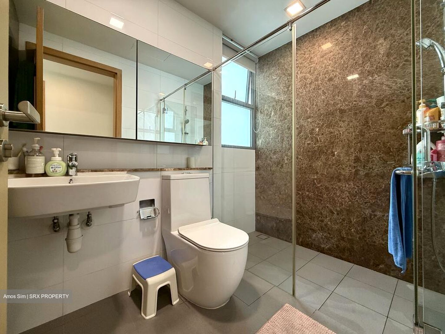 Eight Courtyards (D27), Condominium #518174101